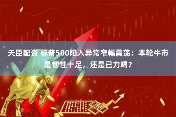 天臣配资 标普500陷入异常窄幅震荡：本轮牛市是韧性十足，还是已力竭？