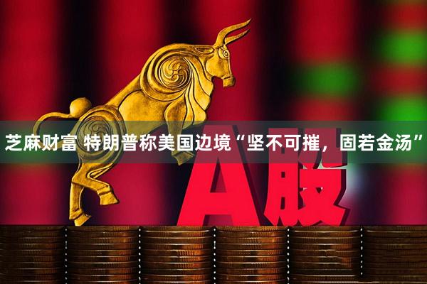 芝麻财富 特朗普称美国边境“坚不可摧，固若金汤”