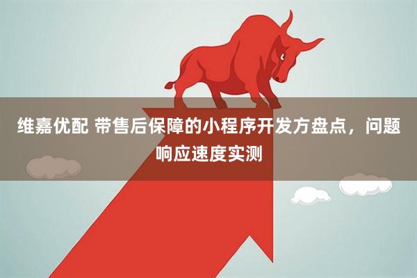 维嘉优配 带售后保障的小程序开发方盘点，问题响应速度实测