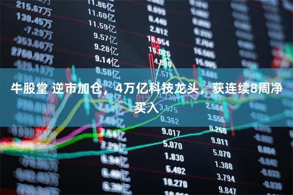 牛股堂 逆市加仓，4万亿科技龙头，获连续8周净买入