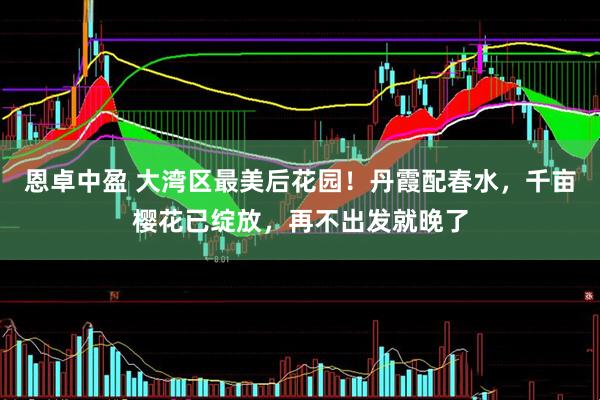 恩卓中盈 大湾区最美后花园！丹霞配春水，千亩樱花已绽放，再不出发就晚了