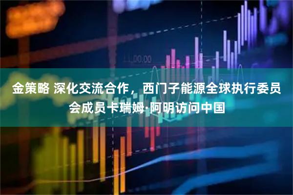 金策略 深化交流合作，西门子能源全球执行委员会成员卡瑞姆·阿明访问中国
