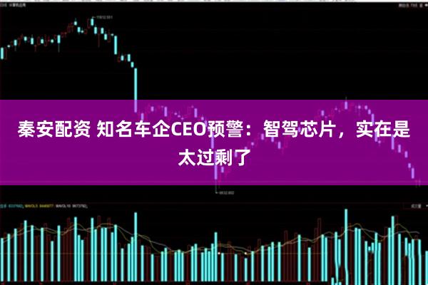 秦安配资 知名车企CEO预警：智驾芯片，实在是太过剩了