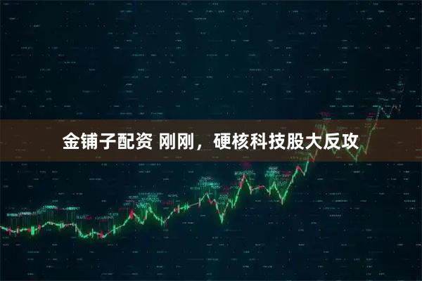 金铺子配资 刚刚，硬核科技股大反攻