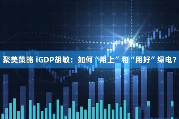 聚美策略 iGDP胡敏：如何“用上”和“用好”绿电？