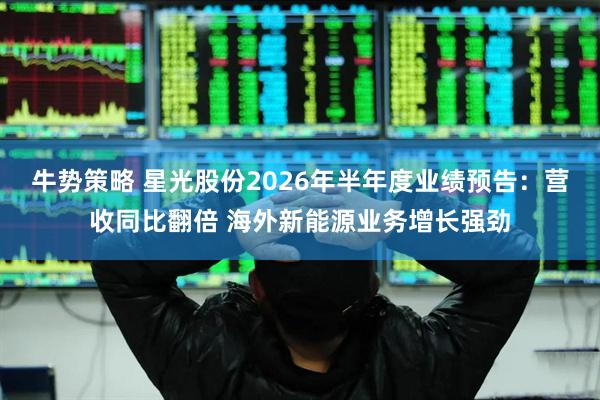 牛势策略 星光股份2026年半年度业绩预告：营收同比翻倍 海外新能源业务增长强劲