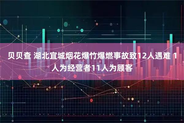 贝贝查 湖北宜城烟花爆竹爆燃事故致12人遇难 1人为经营者11人为顾客