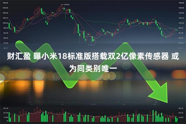 财汇盈 曝小米18标准版搭载双2亿像素传感器 或为同类别唯一
