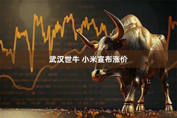 武汉世牛 小米宣布涨价