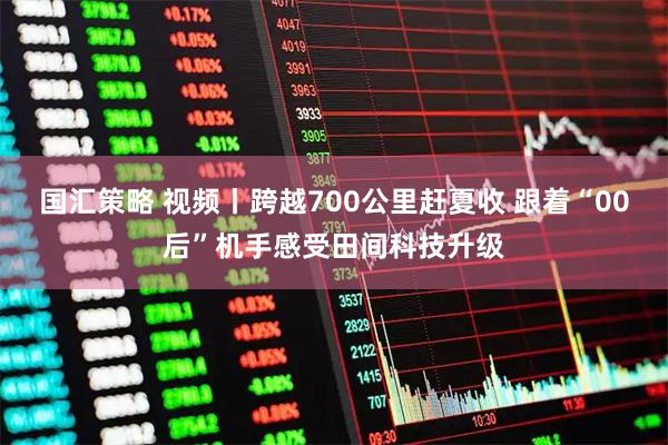 国汇策略 视频丨跨越700公里赶夏收 跟着“00后”机手感受田间科技升级