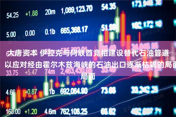 大唐资本 伊拉克与阿联酋竞相建设替代石油管道，以应对经由霍尔木兹海峡的石油出口逐渐枯竭的局面