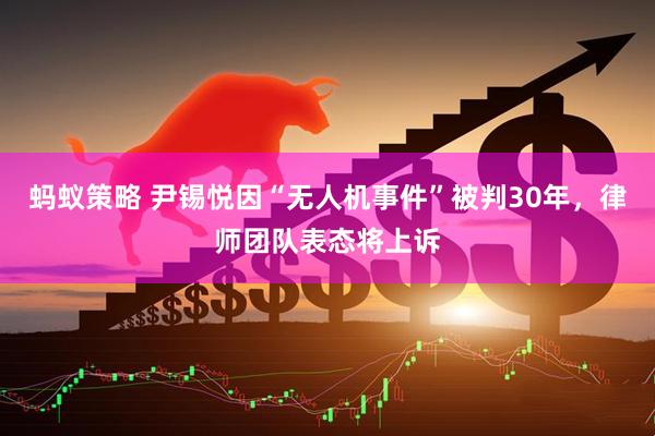 蚂蚁策略 尹锡悦因“无人机事件”被判30年，律师团队表态将上诉