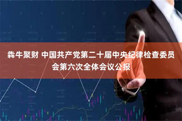 犇牛聚财 中国共产党第二十届中央纪律检查委员会第六次全体会议公报