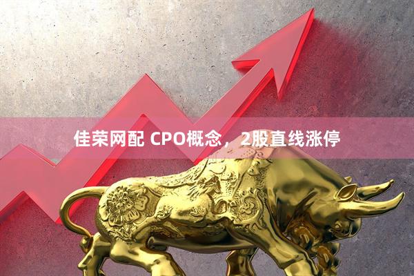 佳荣网配 CPO概念，2股直线涨停