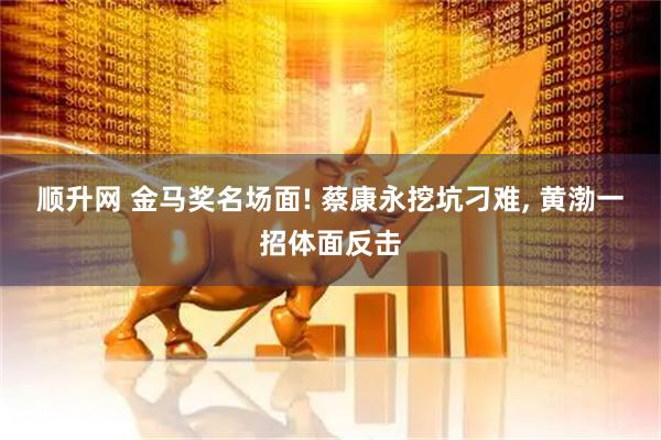 顺升网 金马奖名场面! 蔡康永挖坑刁难, 黄渤一招体面反击